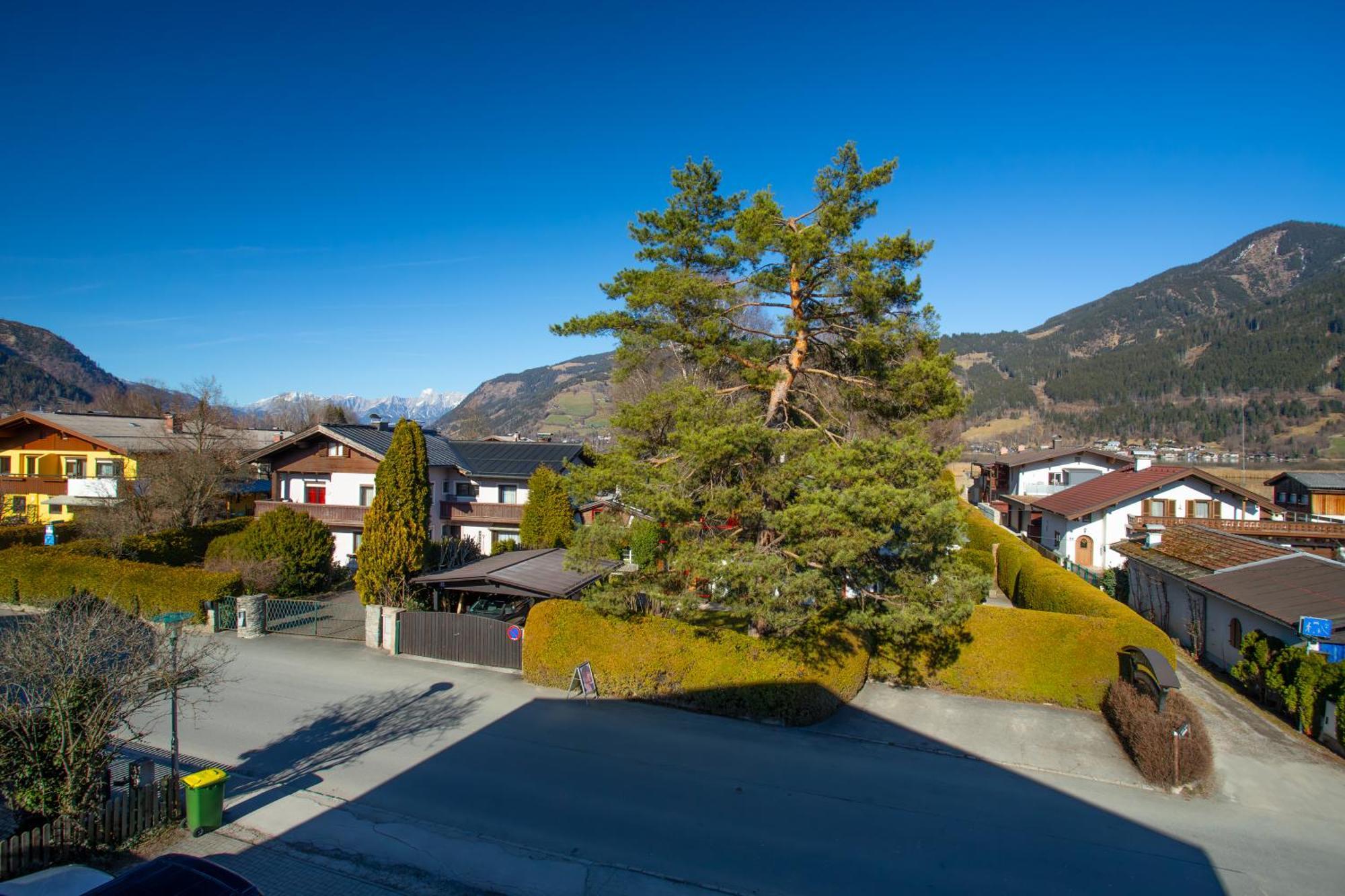 Alpina Apartments - Zell Am See Buitenkant foto